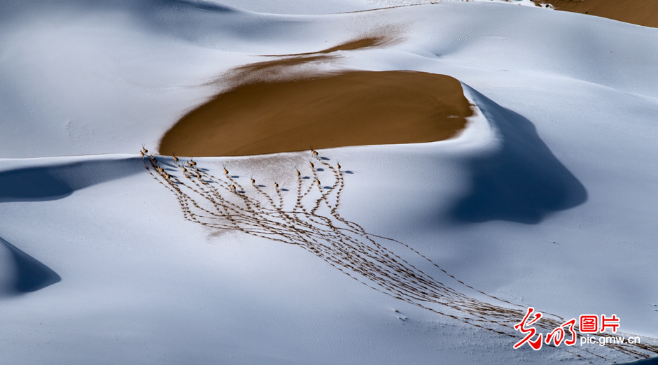 三江源國家公園正式設(shè)立，這是青海生態(tài)文明建設(shè)的新答卷