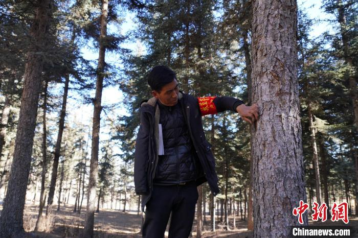 圖為桑杰加檢查林場樹木是否有病蟲害。　馬銘言 攝