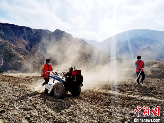 圖為拖拉機在山地犁地。　張?zhí)砀?攝