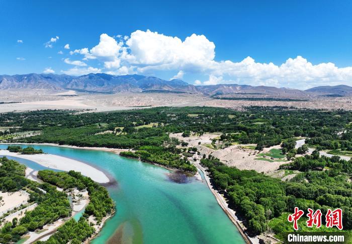 航拍貴德縣黃河岸畔綠意盎然?！●R銘言 攝