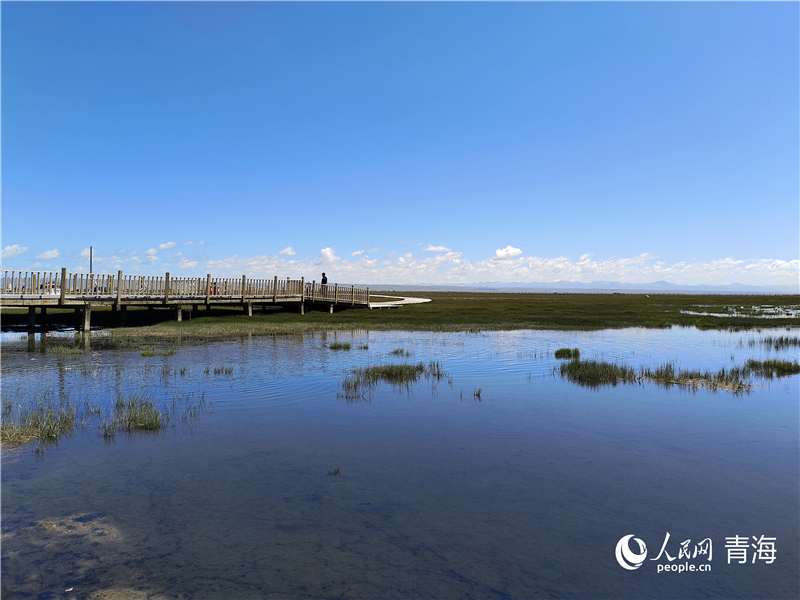   青海湖仙女灣。人民網(wǎng) 張莉萍攝