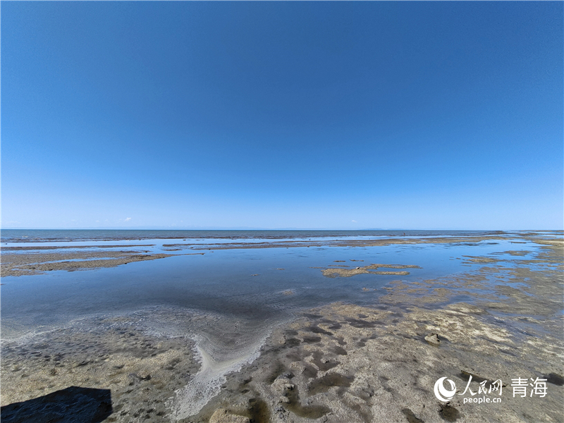   青海湖仙女灣。人民網(wǎng) 張莉萍攝