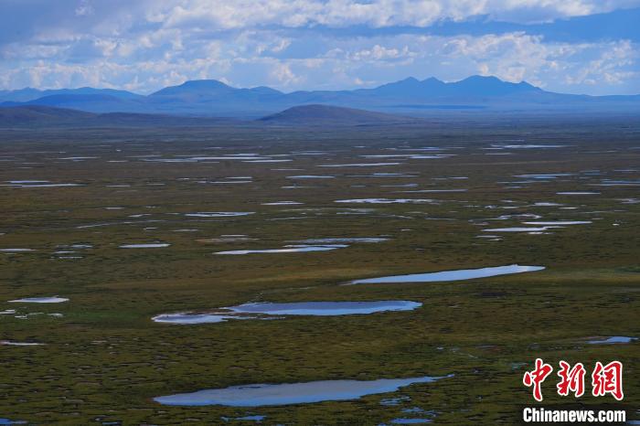 圖為查旦濕地?！●R銘言 攝