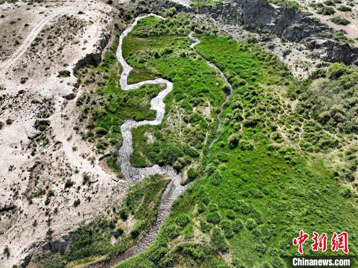 圖為航拍都蘭湖國家濕地公園綠意盎然?！∑钤鲚?攝