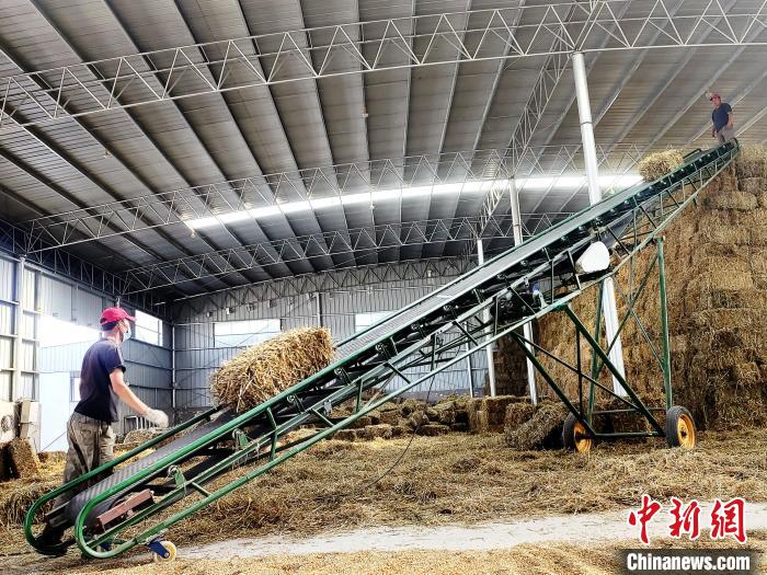圖為飼草打捆、儲存?！●R芝芬 攝