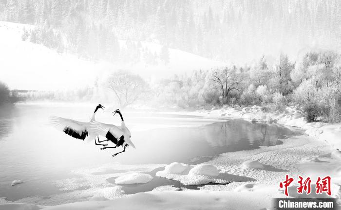 圖為焦生福的作品《鶴嬉雪林》?！∏嗪Ｊ∑钸B山自然保護協會供圖