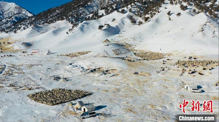 圖為無人機(jī)航拍牧場(chǎng)?！《继m縣融媒體中心供圖