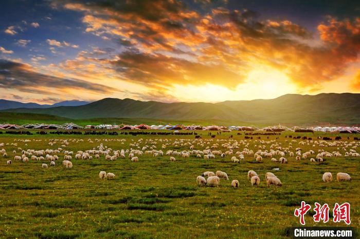 資料圖為青海省玉樹州稱多縣草原風(fēng)光?！」?攝