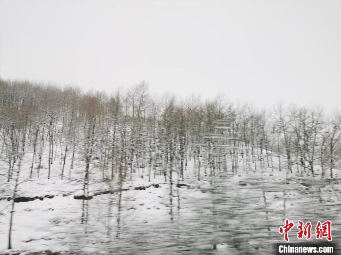 圖為青海青沙山區(qū)域被降雪覆蓋?！?zhí)砀?攝