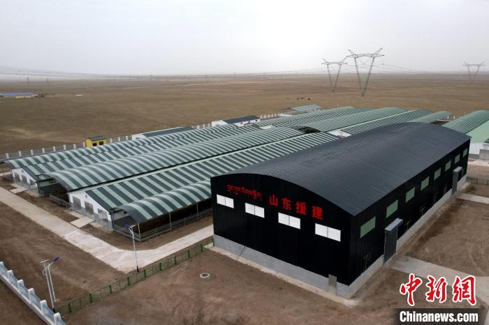 圖為航拍生態(tài)畜牧業(yè)集中規(guī)?；B(yǎng)殖基地?！〔讨绢?攝