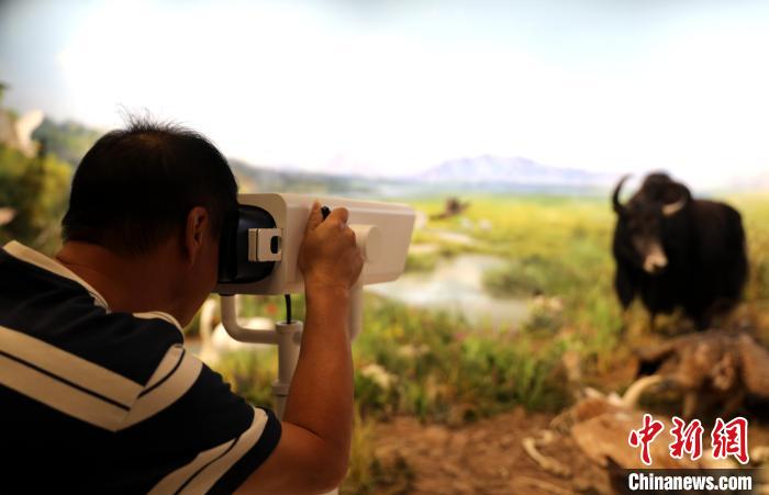 圖為臺(tái)商觀看祁連山國(guó)家公園生態(tài)科普館內(nèi)生態(tài)場(chǎng)景?！⊙Φ?攝