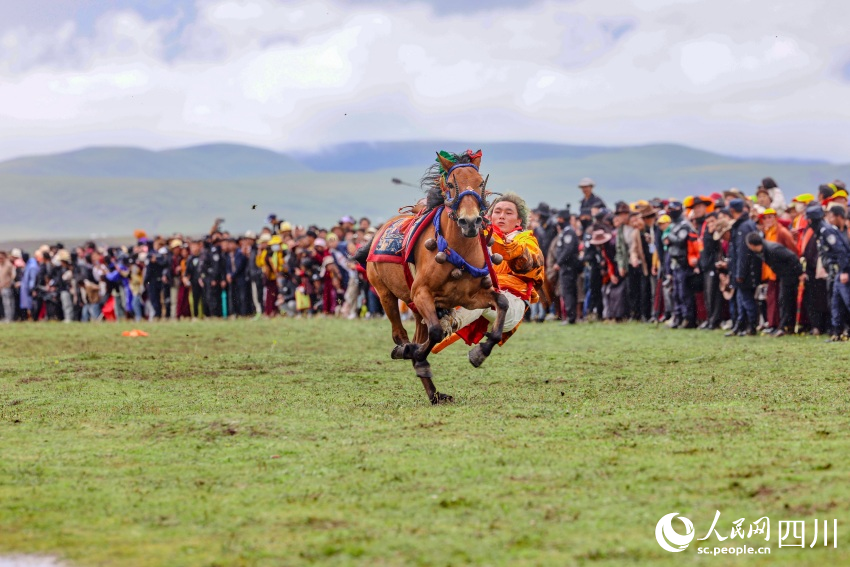 馬術(shù)表演現(xiàn)場。洛絨尼瑪攝