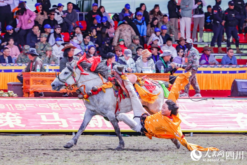馬術(shù)表演現(xiàn)場。洛絨尼瑪攝