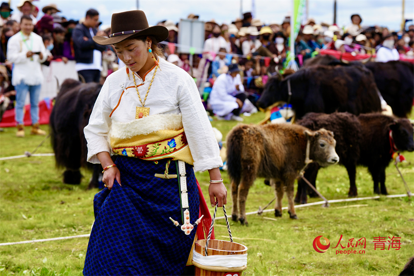 擠牦牛奶大賽。人民網(wǎng) 陳明菊攝
