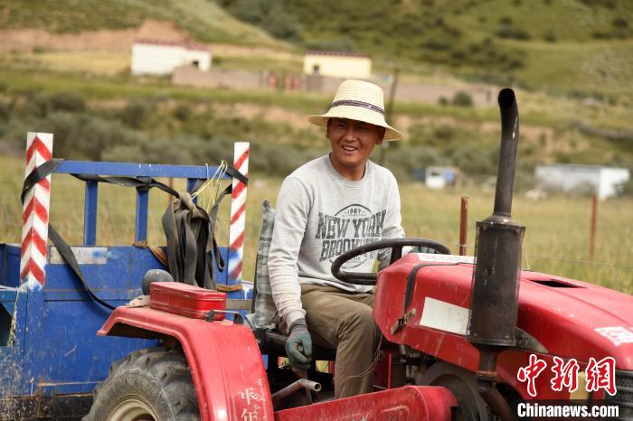 青海囊謙：喜迎秋收，又是一年“豐”景