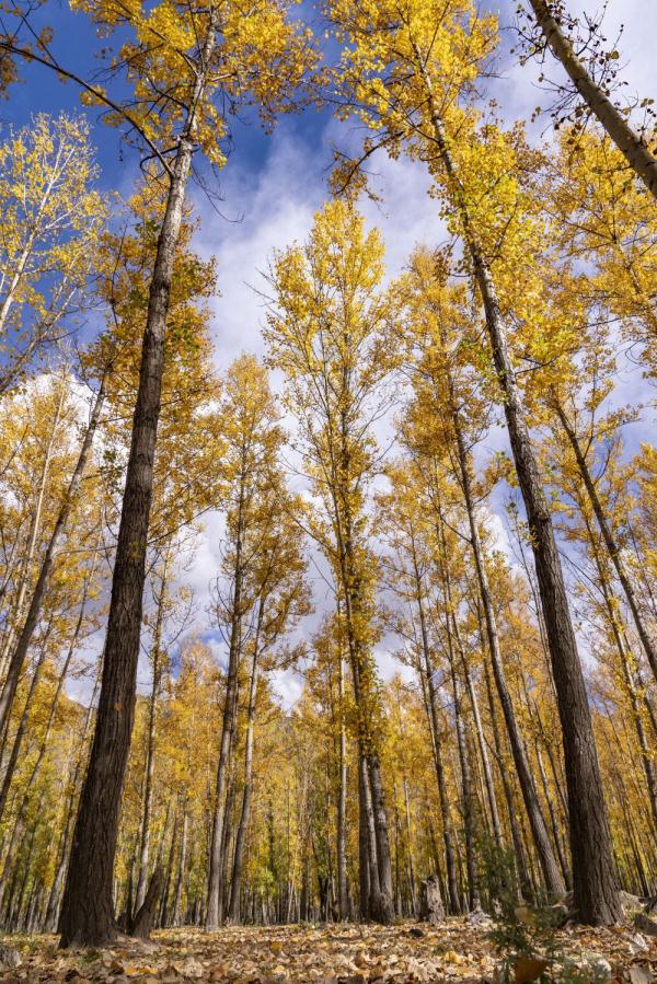 跟我，踏上最美“景觀大道”