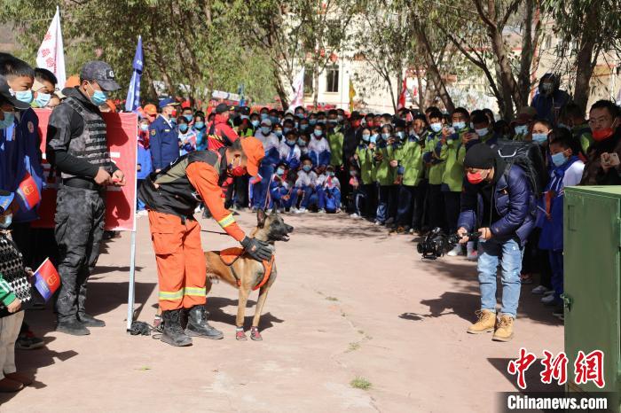 圖為搜救犬服從和箱體搜救演練。　趙琳 攝