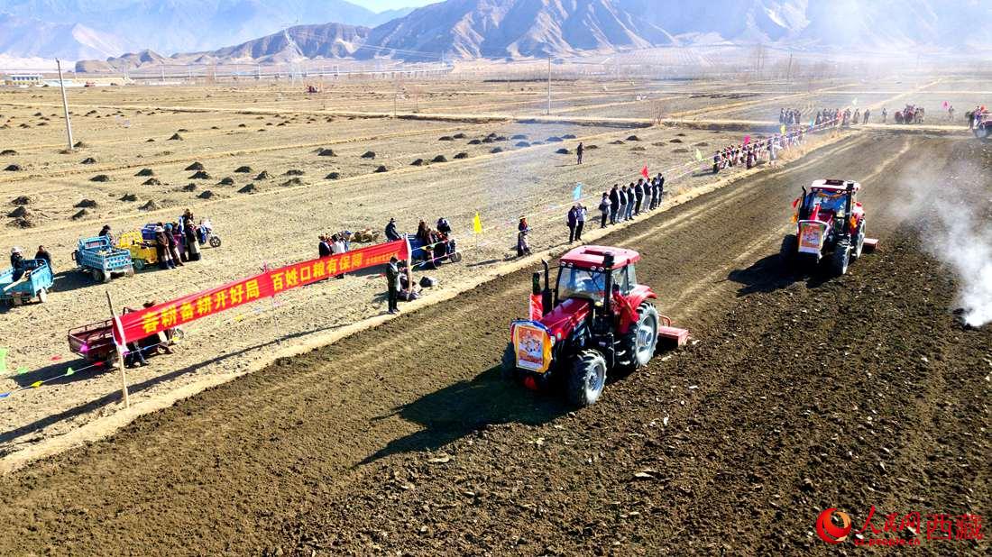 山南市扎囊縣扎其鄉(xiāng)孟卡榮村迎來春耕第一犁。人民網(wǎng) 次仁羅布攝