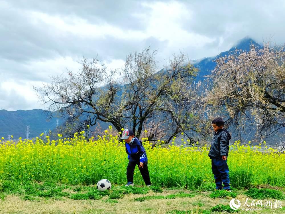 孩童在桃花下嬉戲。人民網(wǎng) 李海霞攝