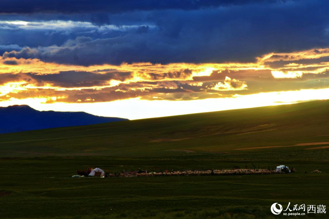 黃昏下的帳篷，牧民過著幸福生活。 人民網(wǎng) 李海霞攝