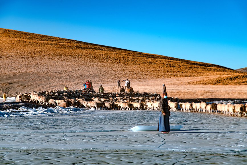 牧民趕著羊群，準(zhǔn)備通過(guò)冰面。 覃穎華攝