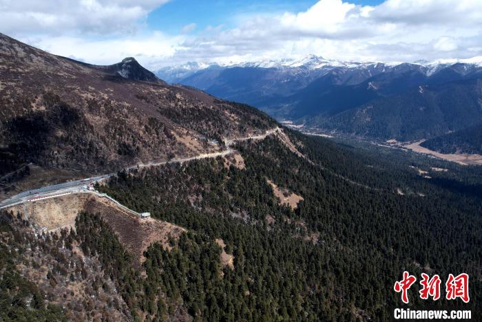 2月17日，西藏林芝魯朗林海。(無人機照片) 李林 攝