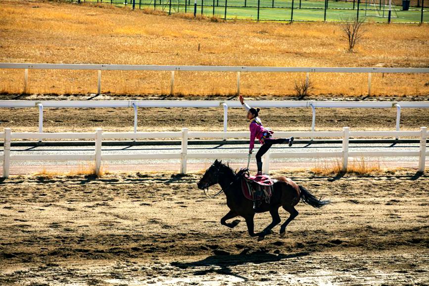 藏歷新年，精彩的馬術表演。張靜攝