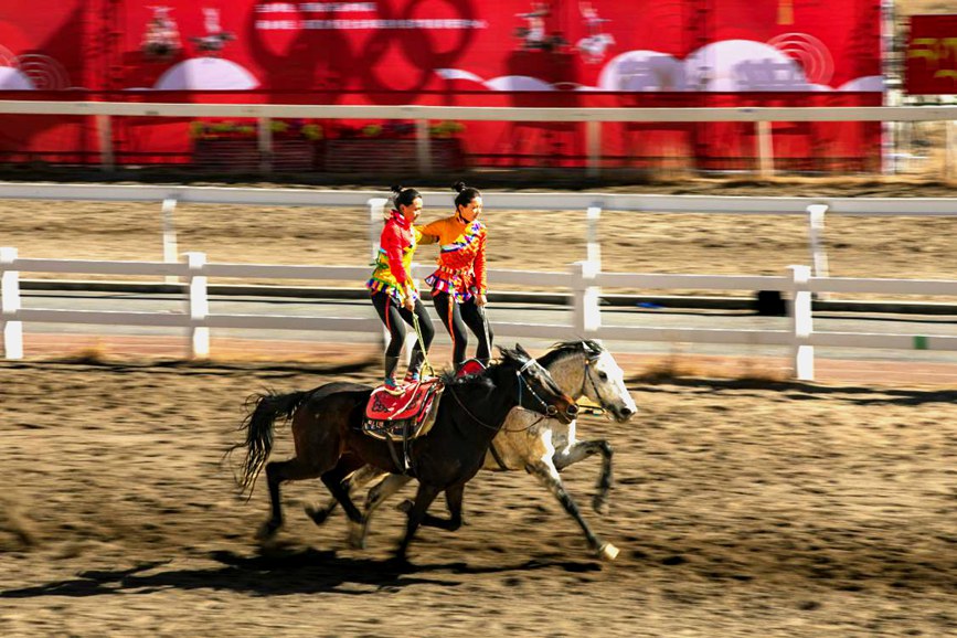 藏歷新年，精彩的馬術表演。張靜攝