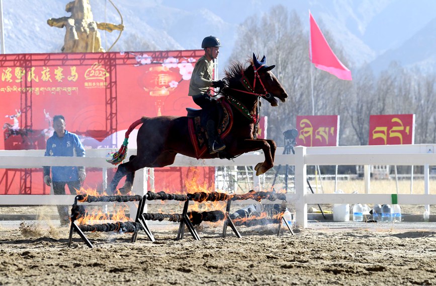 藏歷新年，精彩的馬術表演。潘多攝
