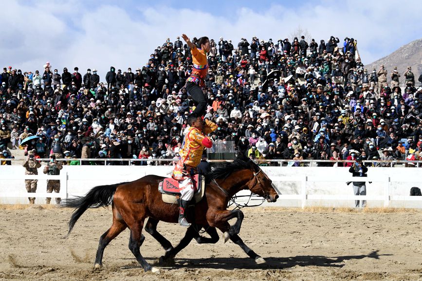 藏歷新年，精彩的馬術表演。潘多攝