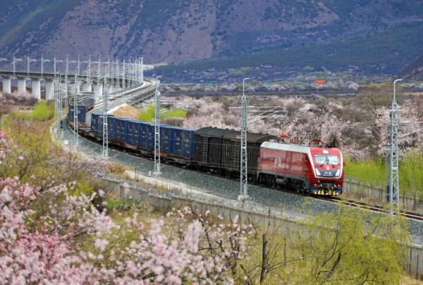 人間桃花源！林芝桃花有多絕？