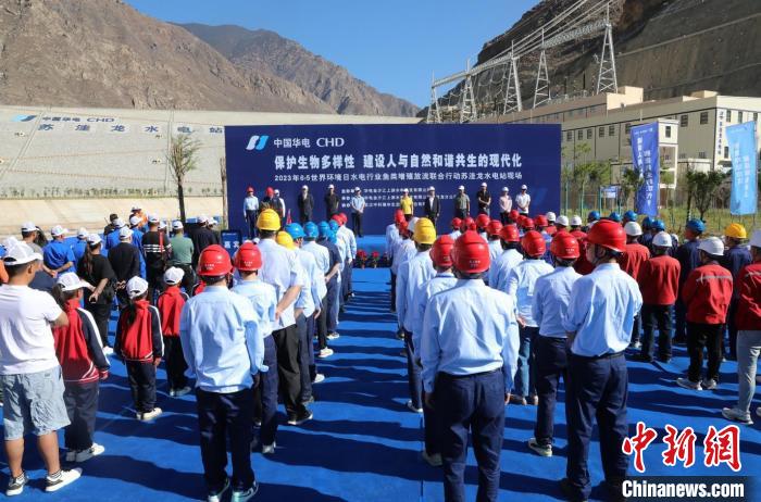 圖為蘇洼龍水電站魚(yú)類放流現(xiàn)場(chǎng)?！√K洼龍水電站供圖