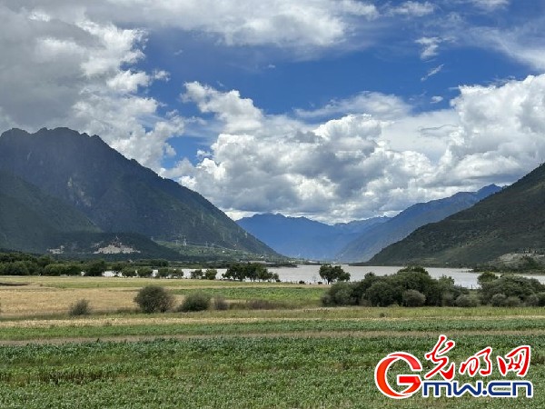 我們的家園｜林芝米林縣：河長(zhǎng)護(hù)藥洲，碧水映花谷