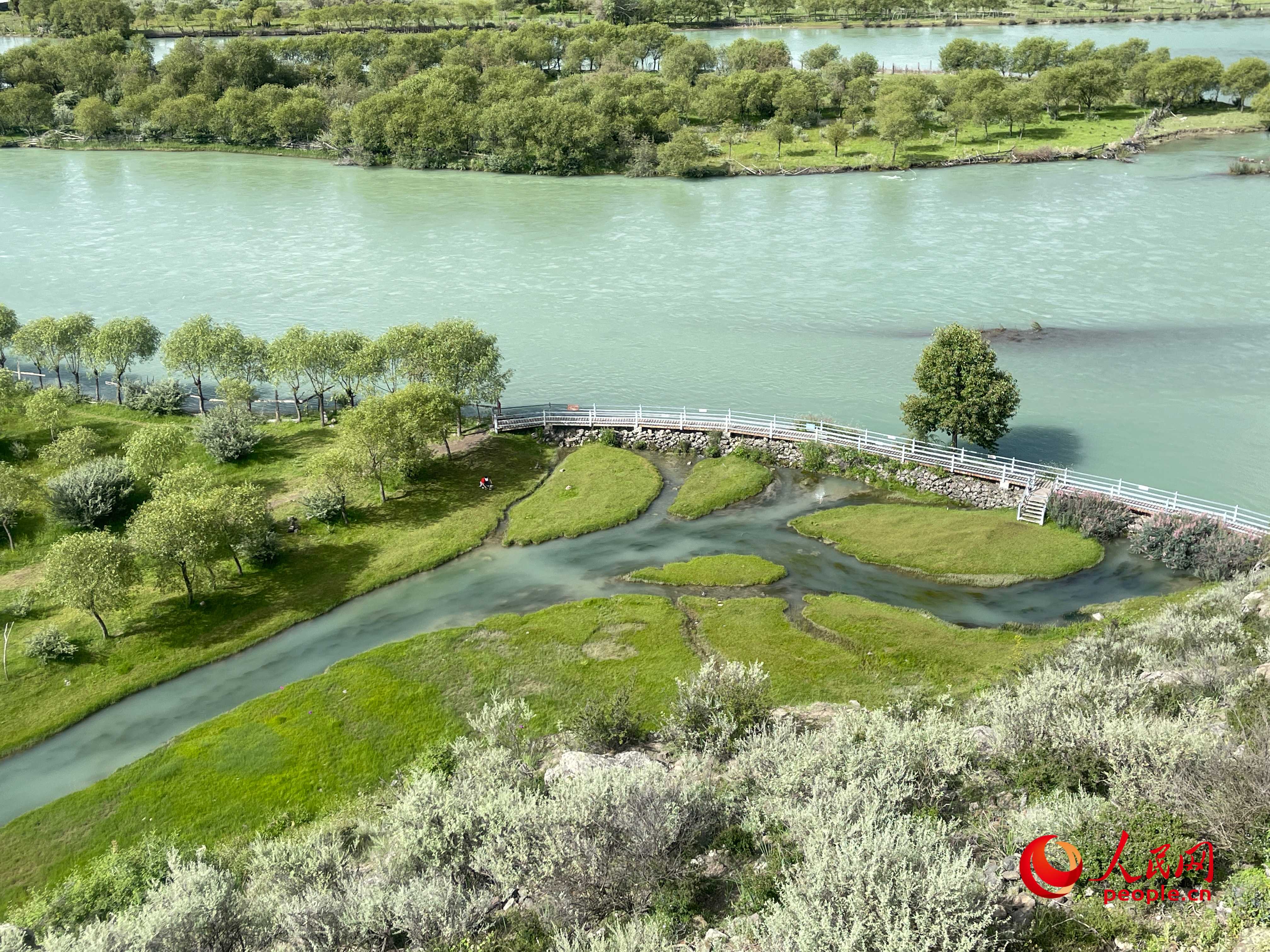 夏日的雅尼國家濕地公園生機盎然，如詩如畫。人民網(wǎng) 周靜圓攝