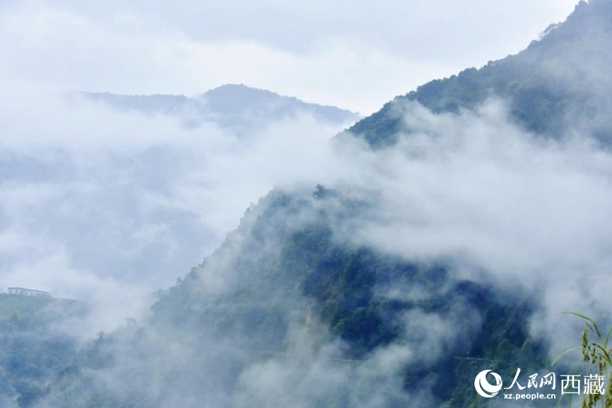 秋日里的墨脫云海。人民網(wǎng) 李海霞攝