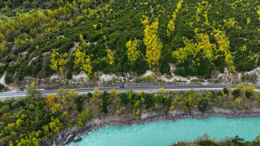 去往墨脫的路上，秋色正明。張澤坤攝