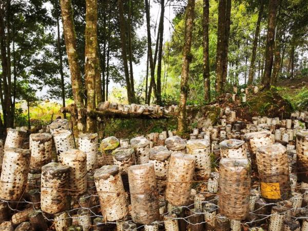 幾代建設(shè)者，歷經(jīng)半個多世紀完成！這是一條怎樣的公路？