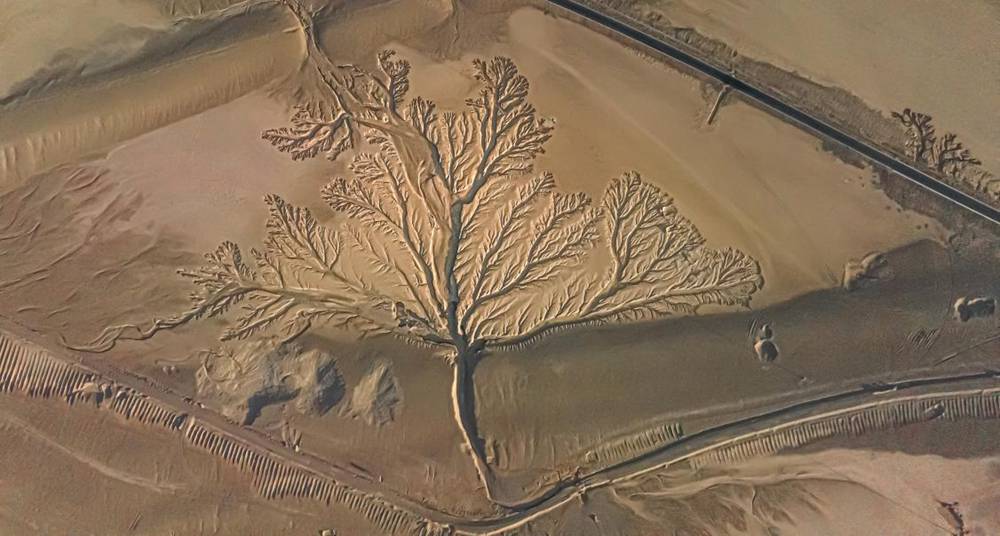 壯觀的“大地之樹”。邊巴多吉攝