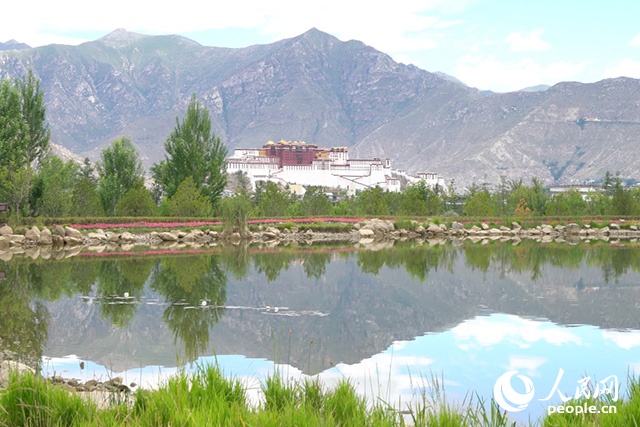 雄偉的布達拉宮與綠意蔥蘢的南山隔河相望。人民網(wǎng)記者 劉凡攝