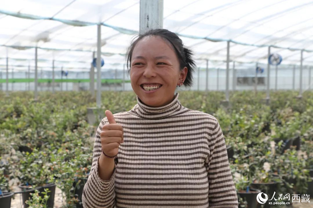 措姆品嘗自己精心照料的藍(lán)莓后，豎起了大拇指。次仁龍布攝