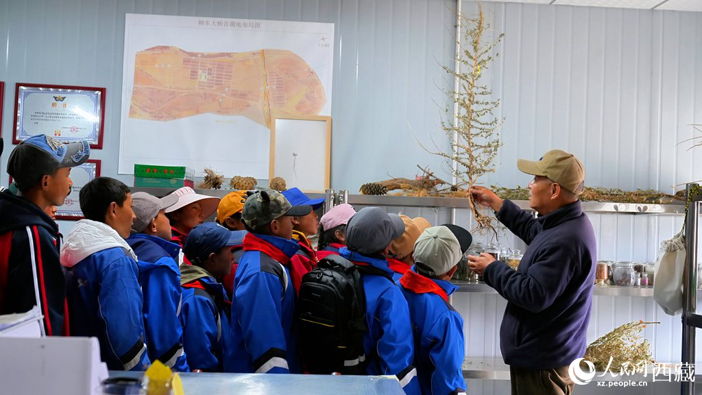 西藏定日:思政課“搬”進育苗基地【3】