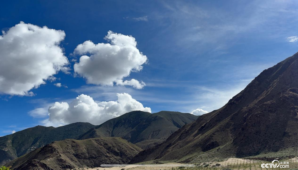 拉薩南北山綠化工程貢嘎段11號片區(qū)（攝影 李婷婷）