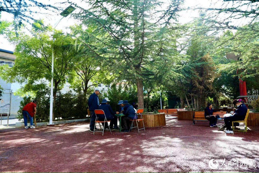 老人們在綠樹成蔭的“社區(qū)會客廳”中對弈休憩。人民網(wǎng)記者 次仁羅布攝