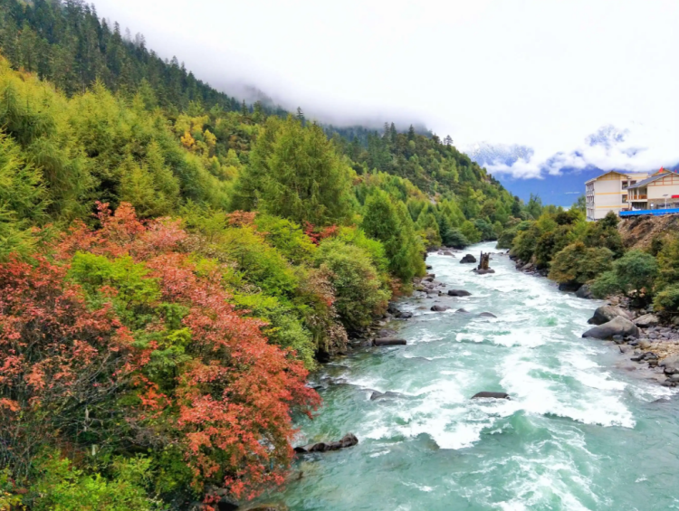 懂西藏的人，一定不會(huì)錯(cuò)過林芝的秋天