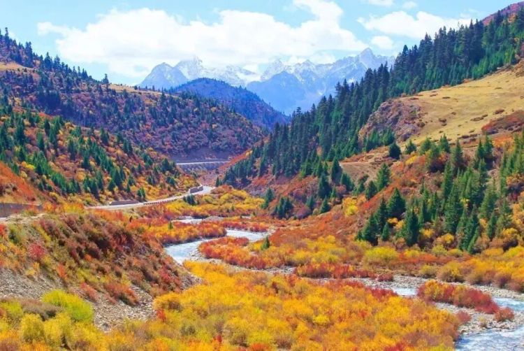 懂西藏的人，一定不會(huì)錯(cuò)過林芝的秋天