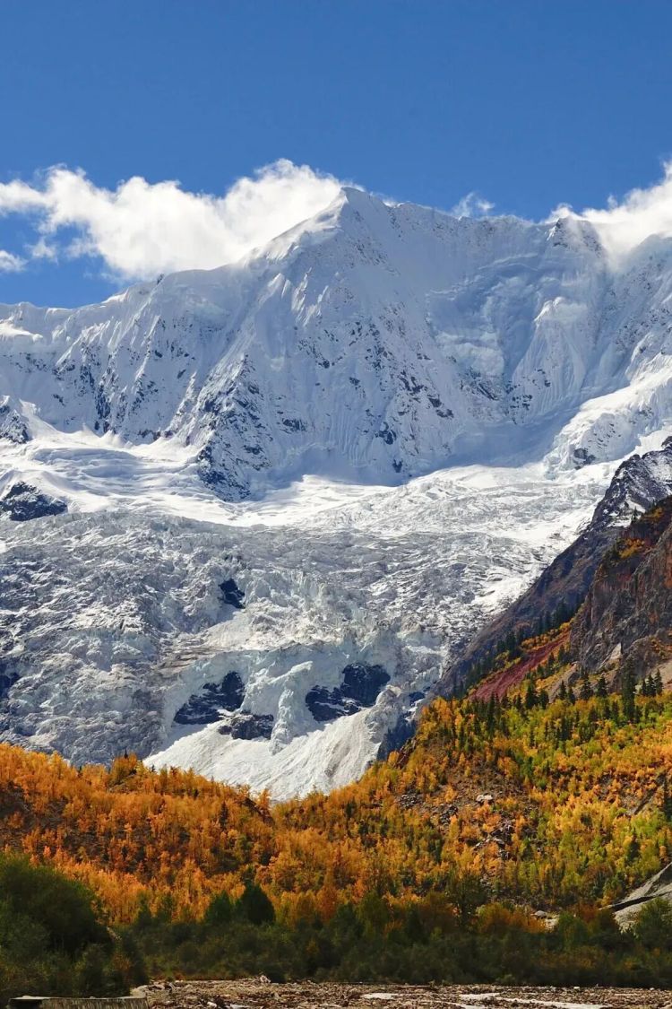懂西藏的人，一定不會(huì)錯(cuò)過林芝的秋天