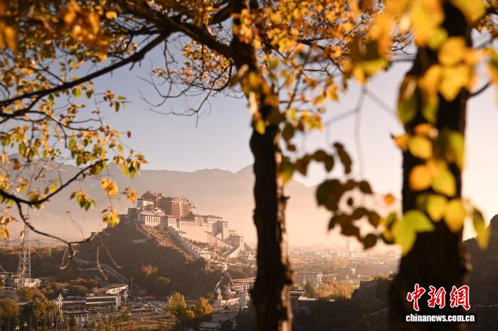 拉薩團結(jié)公園秋景如畫