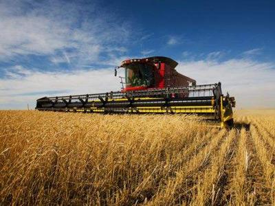 【光明網(wǎng)專(zhuān)論】秦富:鄉(xiāng)村振興亟需培育農(nóng)村發(fā)展新動(dòng)能 【光明網(wǎng)專(zhuān)論】秦富:鄉(xiāng)村振興亟需培育農(nóng)村發(fā)展新動(dòng)能