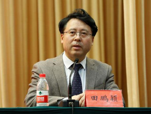 田鵬穎：投入其中、樂在其中、安身其中