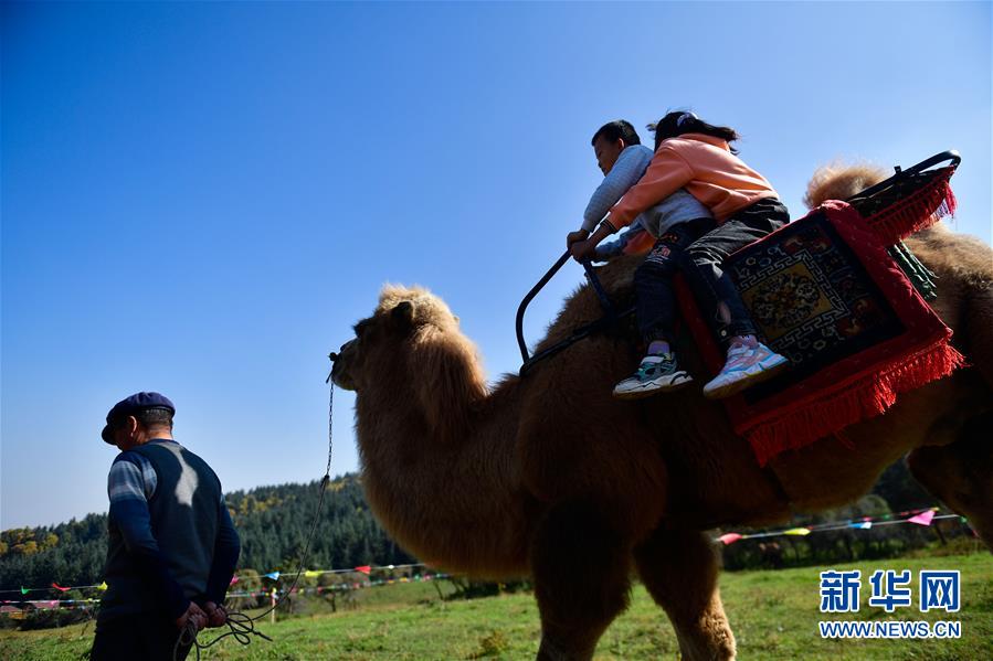 （全面建成小康社會(huì)“百城千縣萬(wàn)村調(diào)研行”·圖文互動(dòng)）（7）青?？?yáng)村：“光棍村”的華麗轉(zhuǎn)身
